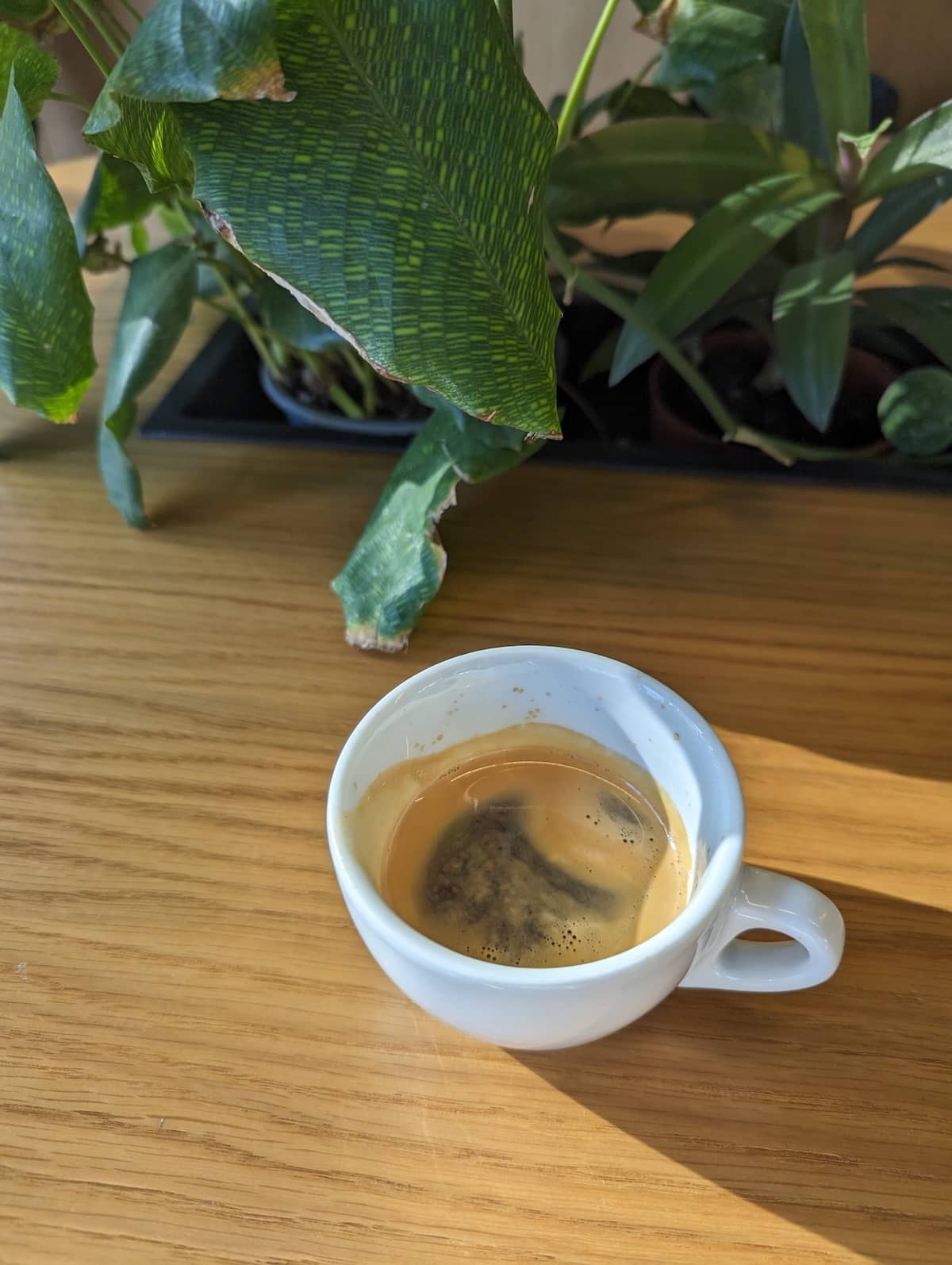 Espresso coffee mug